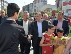 05.05.2012 / Zeytinburnu Belediyesi Fesleğen Dağıtımı