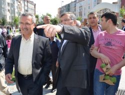 05.05.2012 / Zeytinburnu Belediyesi Fesleğen Dağıtımı