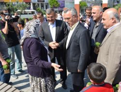 05.05.2012 / Zeytinburnu Belediyesi Fesleğen Dağıtımı