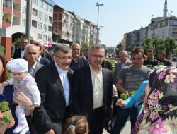 05.05.2012 / Zeytinburnu Belediyesi Fesleğen Dağıtımı