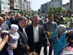 05.05.2012 / Zeytinburnu Belediyesi Fesleğen Dağıtımı